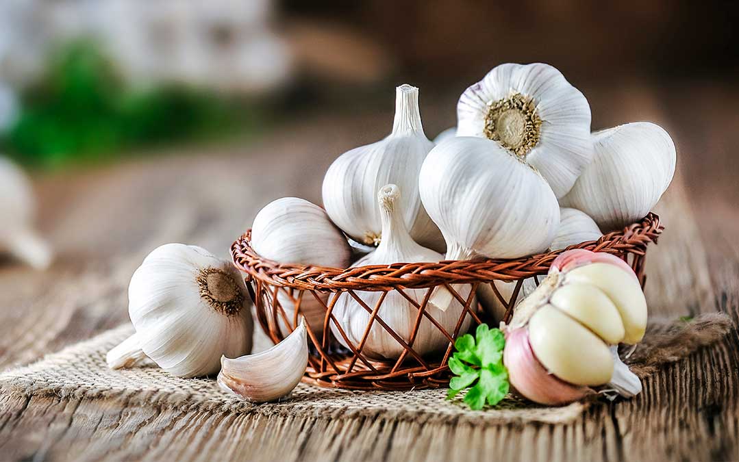 Garlic Antiviral Properties: Cure-All or Health Scam?