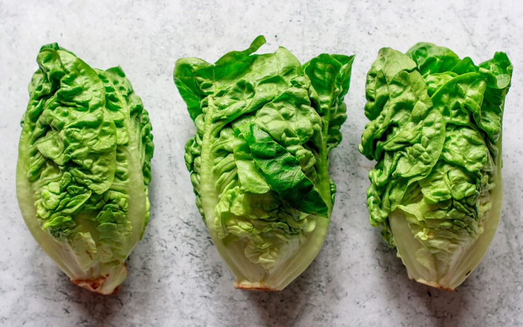 TikTok Says Lettuce Water Can Help You Sleep: What Does The Science Say?